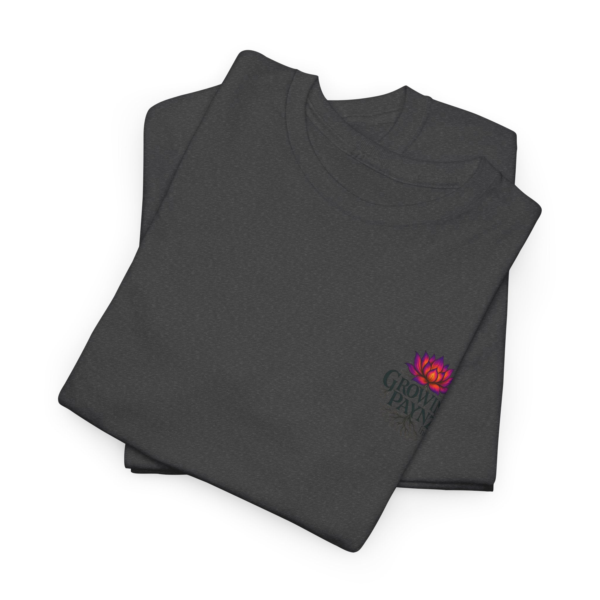 Empowerment Tee - Cancer & Addiction Awareness Shirt, Motivational T-Shirt, Unisex Graphic Tee, Gift for Survivors, Resilience Apparel